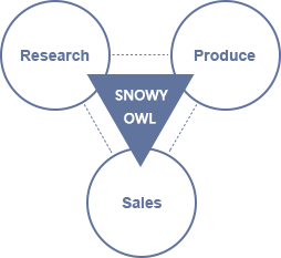 snowy    owl.png